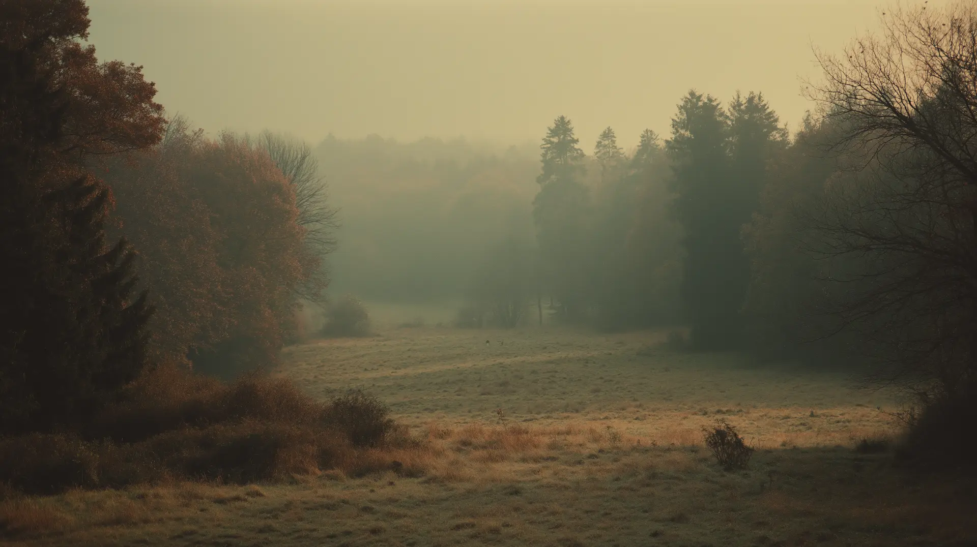 Misty Beskydy countryside in late autumn with golden forest and an old stone chapel